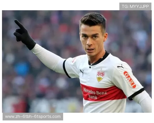 德甲历届冠军球队完整列表及荣誉殿堂介绍