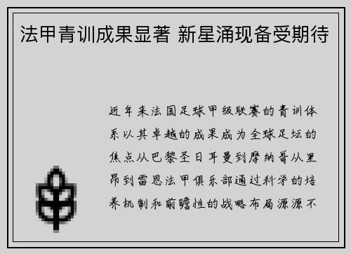 法甲青训成果显著 新星涌现备受期待